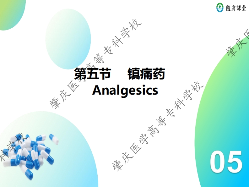 04第四章-5　镇痛药